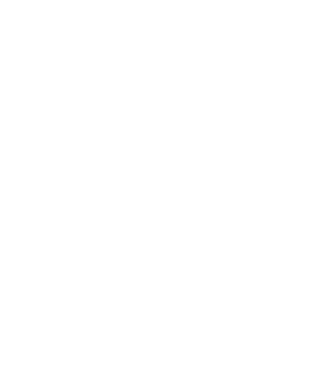 Kovano Gvozdje MONO